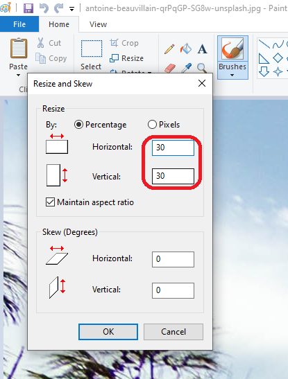 resize image in paint